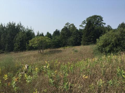 2304 E Jackson Rd, Hart, MI 49420 photo 6