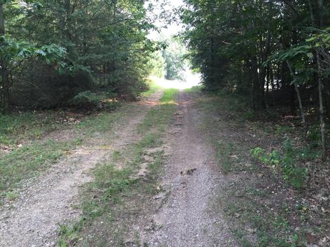2304 E Jackson Rd, Hart, MI 49420 photo 11