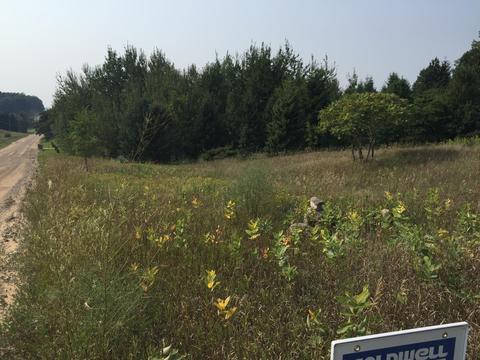 2304 E Jackson Rd, Hart, MI 49420 photo 5