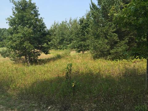 2304 E Jackson Rd, Hart, MI 49420 photo 10