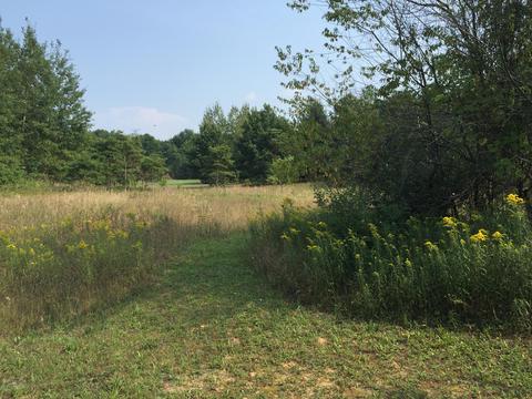 2304 E Jackson Rd, Hart, MI 49420 photo 15