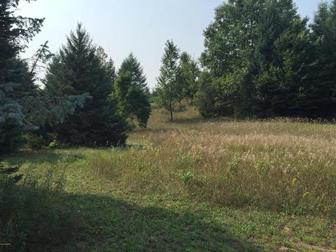 2304 E Jackson Rd, Hart, MI 49420 photo 14