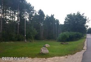 2614 S Oak, White Cloud, MI 49349 photo 30