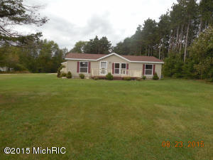 111 E 4th St, Trufant, MI 49347 photo 1