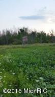 6688 Ingalls Rd, Belding, MI 48809 photo 26