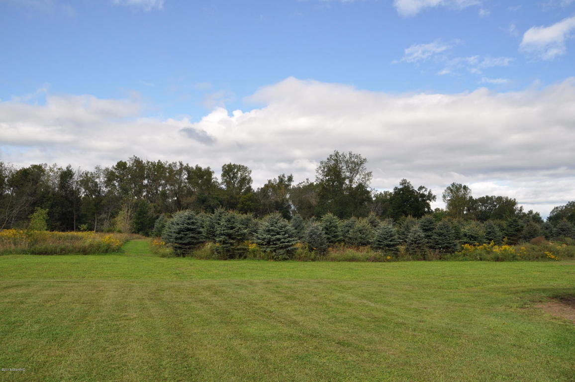 3428 Lyons, Lyons, MI 48851 photo 30