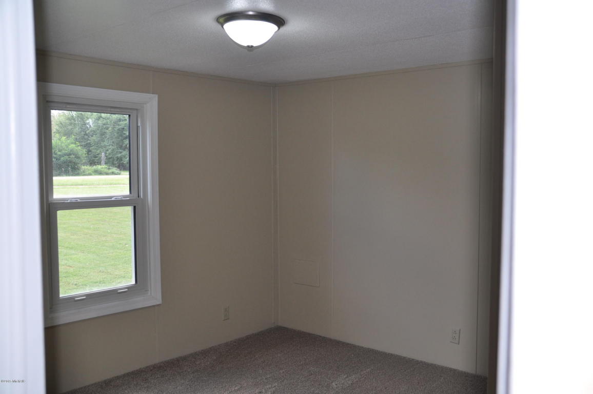 3428 Lyons, Lyons, MI 48851 photo 18