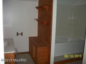217 S Constantine St, Three Rivers, MI 49093 photo 9