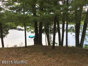 5500 N Mac Rd, Irons, MI 49644 photo 18