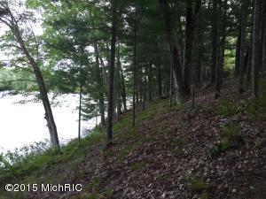 5500 N Mac Rd, Irons, MI 49644 photo 21