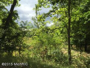 5500 N Mac Rd, Irons, MI 49644 photo 17