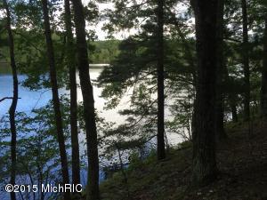 5500 N Mac Rd, Irons, MI 49644 photo 23