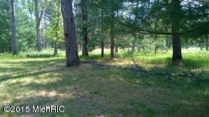 6179 W Wingleton Rd, Baldwin, MI 49304 photo 21