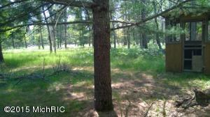 6179 W Wingleton Rd, Baldwin, MI 49304 photo 20