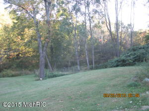 9456 E Tasker Rd, Bellevue, MI 49021 photo 12