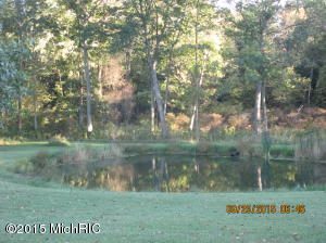 9456 E Tasker Rd, Bellevue, MI 49021 photo 11