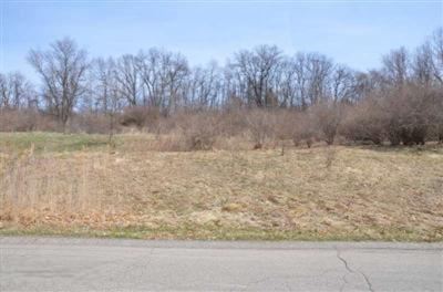 894 Skyevale Dr NE, Ada, MI 49301 photo 3
