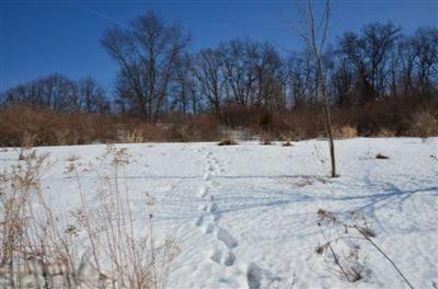 894 Skyevale Dr NE, Ada, MI 49301 photo 10