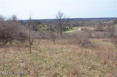894 Skyevale Dr NE, Ada, MI 49301 photo 5
