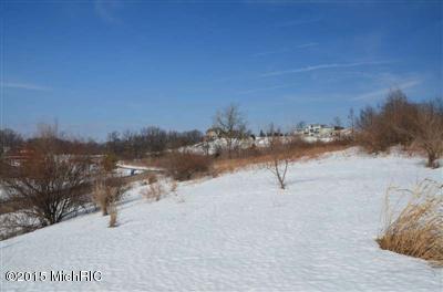 894 Skyevale Dr NE, Ada, MI 49301 photo 12