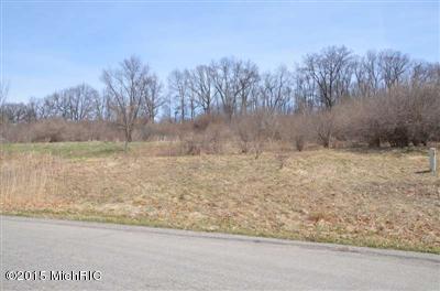 894 Skyevale Dr NE, Ada, MI 49301 photo 4