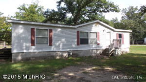 867 E James St, White Cloud, MI 49349 photo 1