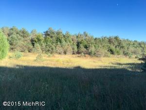3812 E Cedar Tree Ln, White Cloud, MI 49349 photo 74