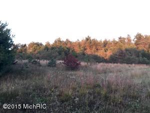 3812 E Cedar Tree Ln, White Cloud, MI 49349 photo 76