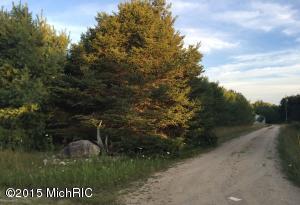3812 E Cedar Tree Ln, White Cloud, MI 49349 photo 1