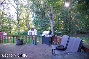 532 Cosmopolitan, Marshall, MI 49068 photo 15
