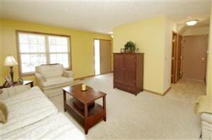 1211 Comstock, Marshall, MI 49068 photo 4