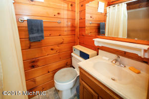 156 E Peterson Dr, Gobles, MI 49055 photo 12