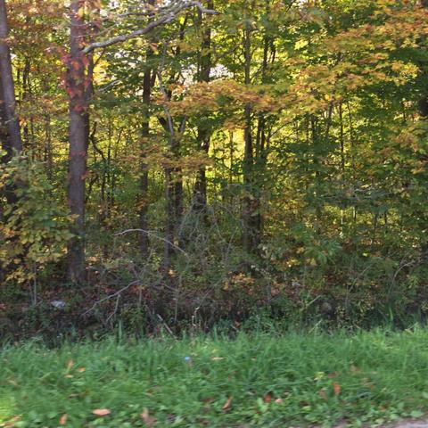 75783 34th Ave, Covert, MI 49043 photo 2