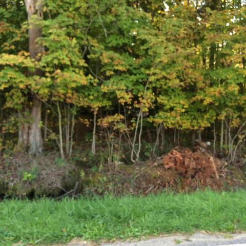 75783 34th Ave, Covert, MI 49043 photo 1