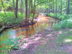 11465 4 Mile Rd, Belding, MI 48809 photo 9