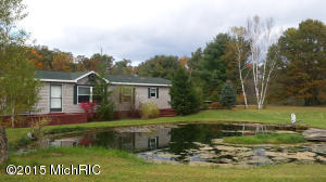 581 S Johnson St, White Cloud, MI 49349 photo 1