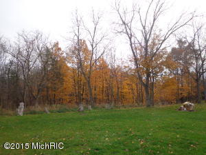 8152 Murphy Rd, Lyons, MI 48851 photo 16