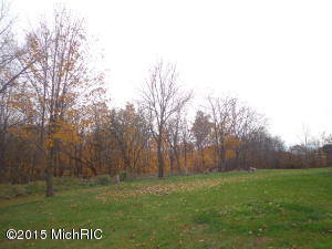 8152 Murphy Rd, Lyons, MI 48851 photo 13