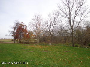 8152 Murphy Rd, Lyons, MI 48851 photo 17