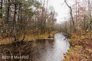 3151 S Walnut Ave, White Cloud, MI 49349 photo 29