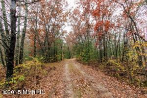 3151 S Walnut Ave, White Cloud, MI 49349 photo 26