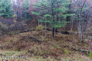3151 S Walnut Ave, White Cloud, MI 49349 photo 28