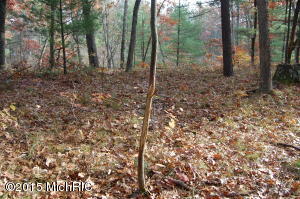 3151 S Walnut Ave, White Cloud, MI 49349 photo 41