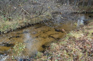 3151 S Walnut Ave, White Cloud, MI 49349 photo 31