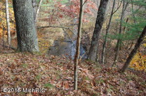 3151 S Walnut Ave, White Cloud, MI 49349 photo 39