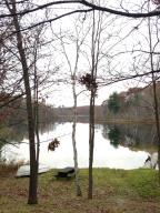8511 Spring Rd NW, Stanton, MI 48888 photo 20