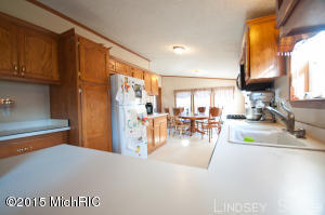3755 E Shore Dr, Stanton, MI 48888 photo 13