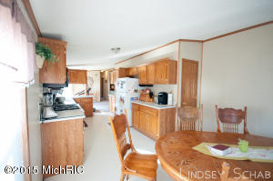 3755 E Shore Dr, Stanton, MI 48888 photo 16