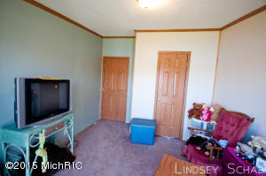 3755 E Shore Dr, Stanton, MI 48888 photo 28