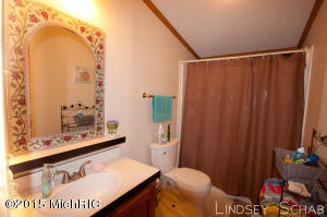 3755 E Shore Dr, Stanton, MI 48888 photo 24